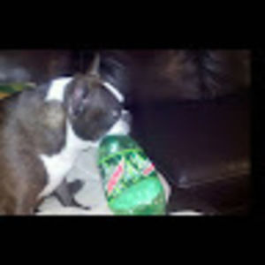 Meet your Posher, Eddie